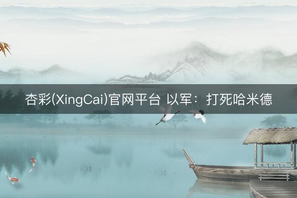杏彩(XingCai)官网平台 以军：打死哈米德